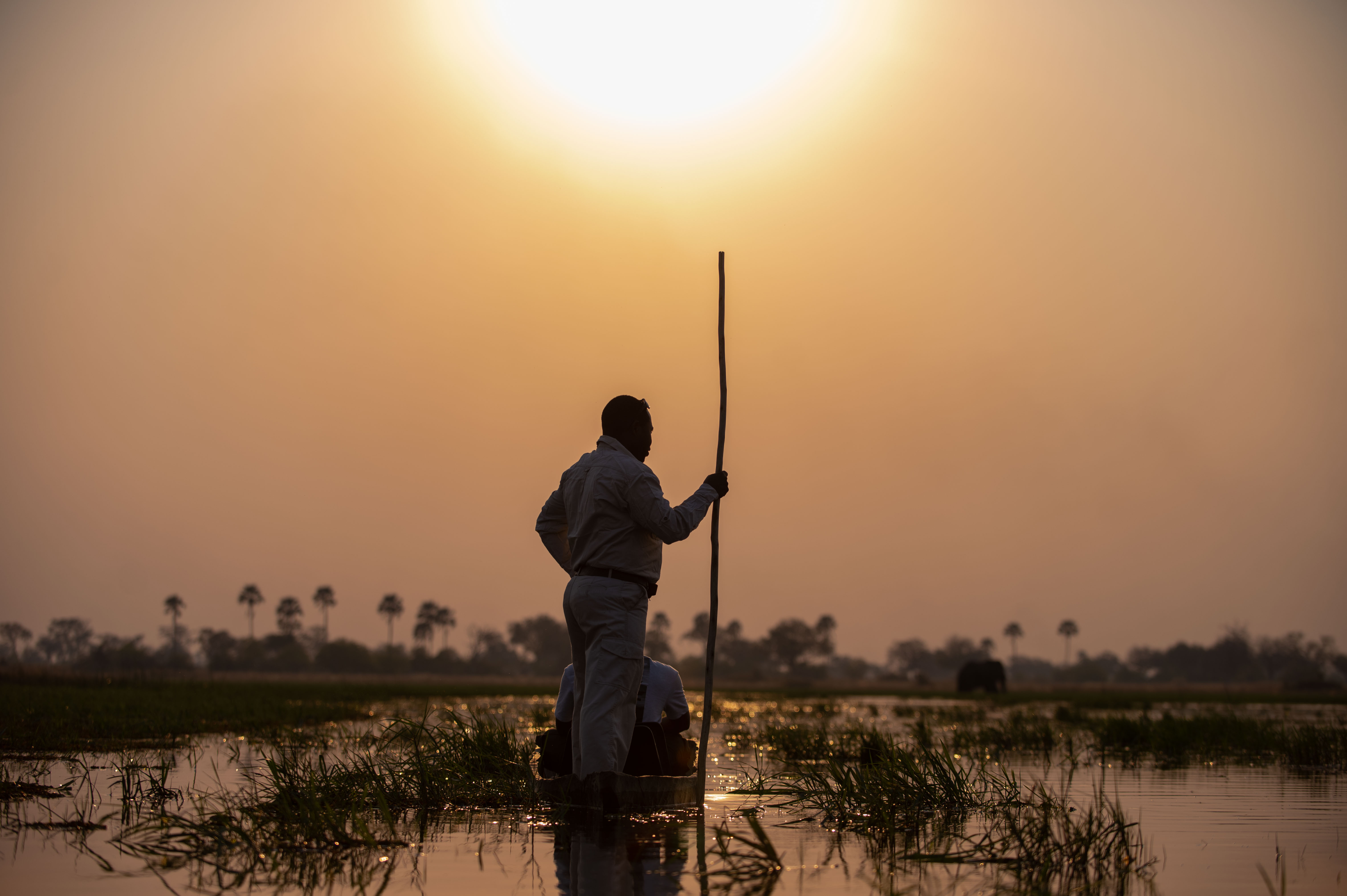 Welcome to the Okavango Delta