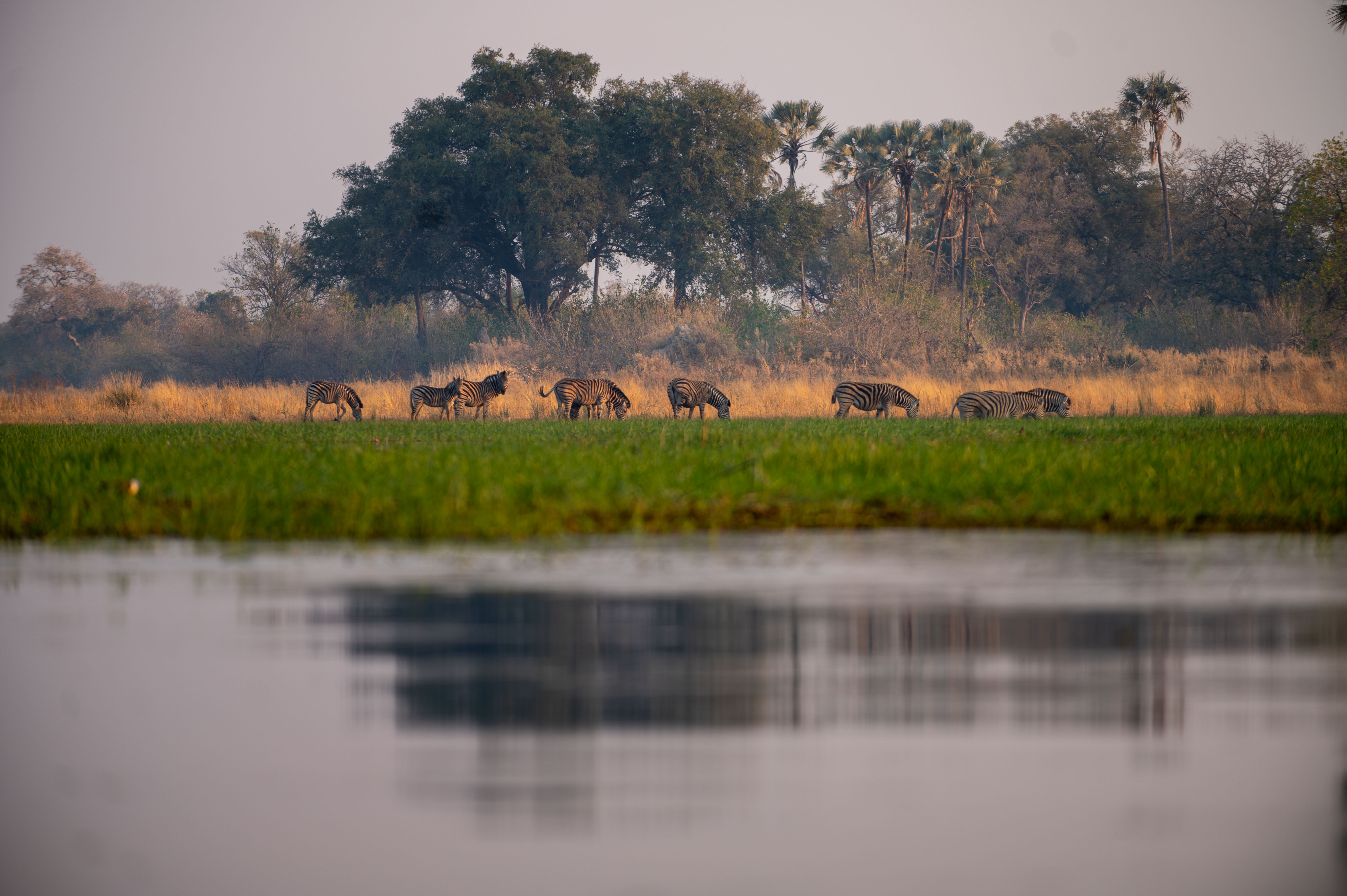 Best Time to Visit Botswana