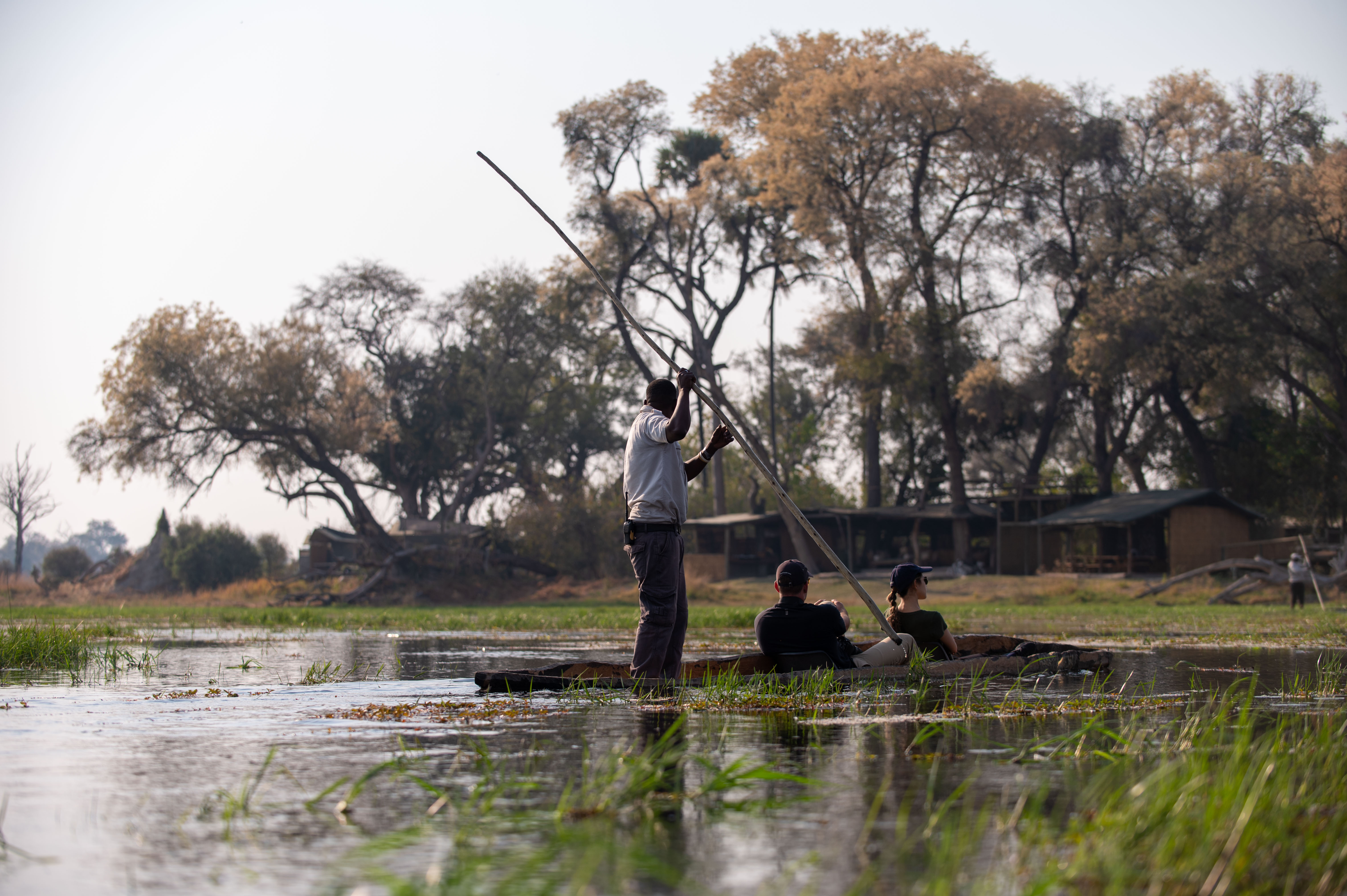 Photography Tips for Your Safari