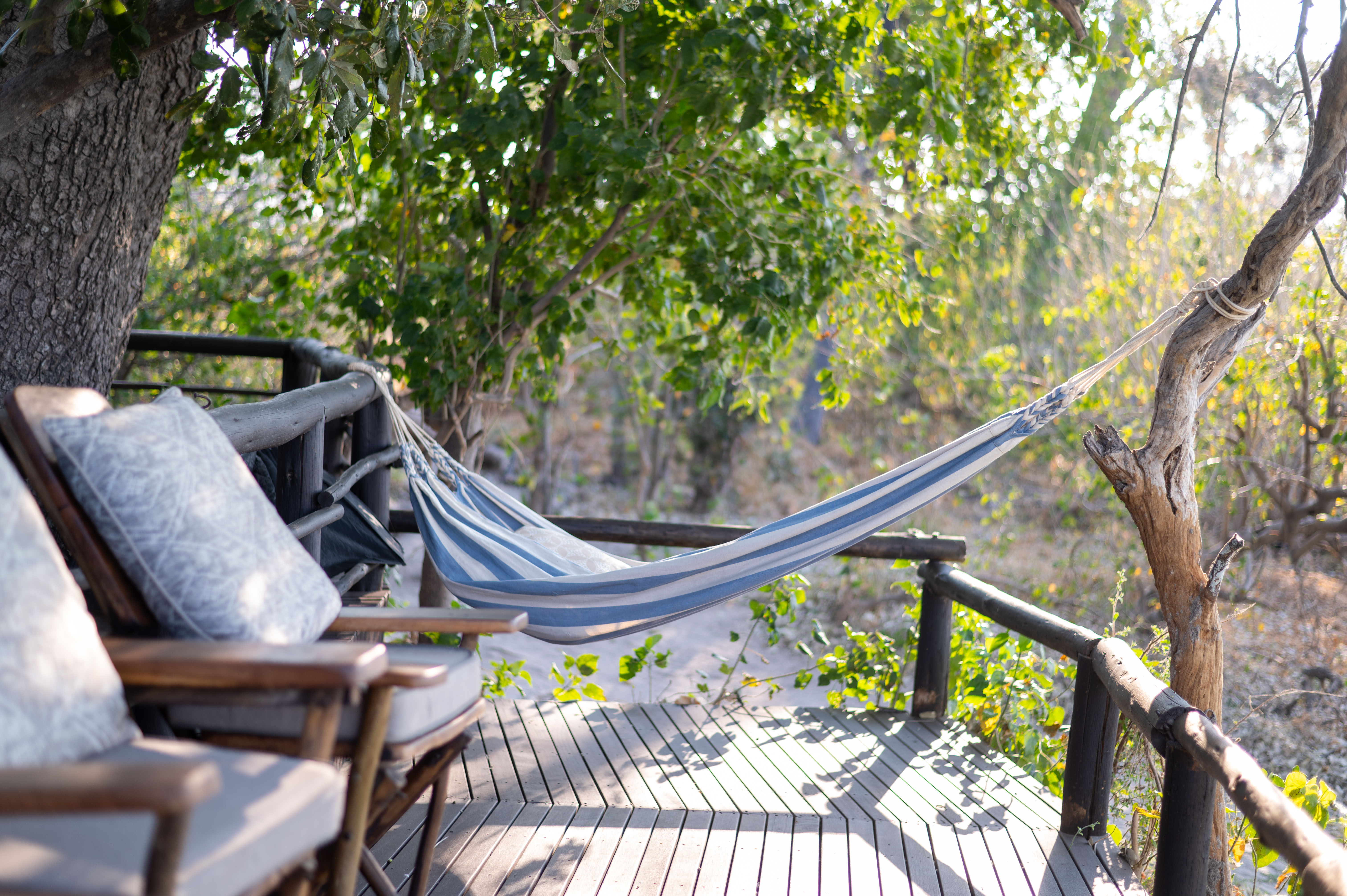 Exploring the Okavango Delta